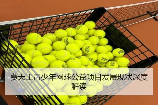 费天王青少年网球公益项目发展现状深度解读